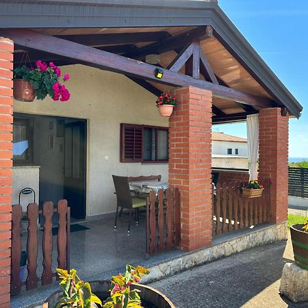 Apartment Samanta Novigrad  Zewnętrze zdjęcie