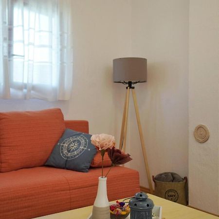 Apartment Samanta Novigrad  Zewnętrze zdjęcie