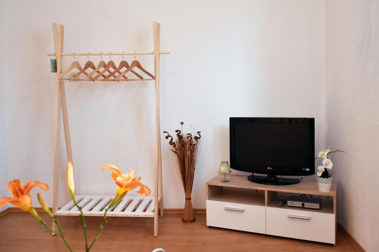 Apartment Samanta Novigrad  Zewnętrze zdjęcie
