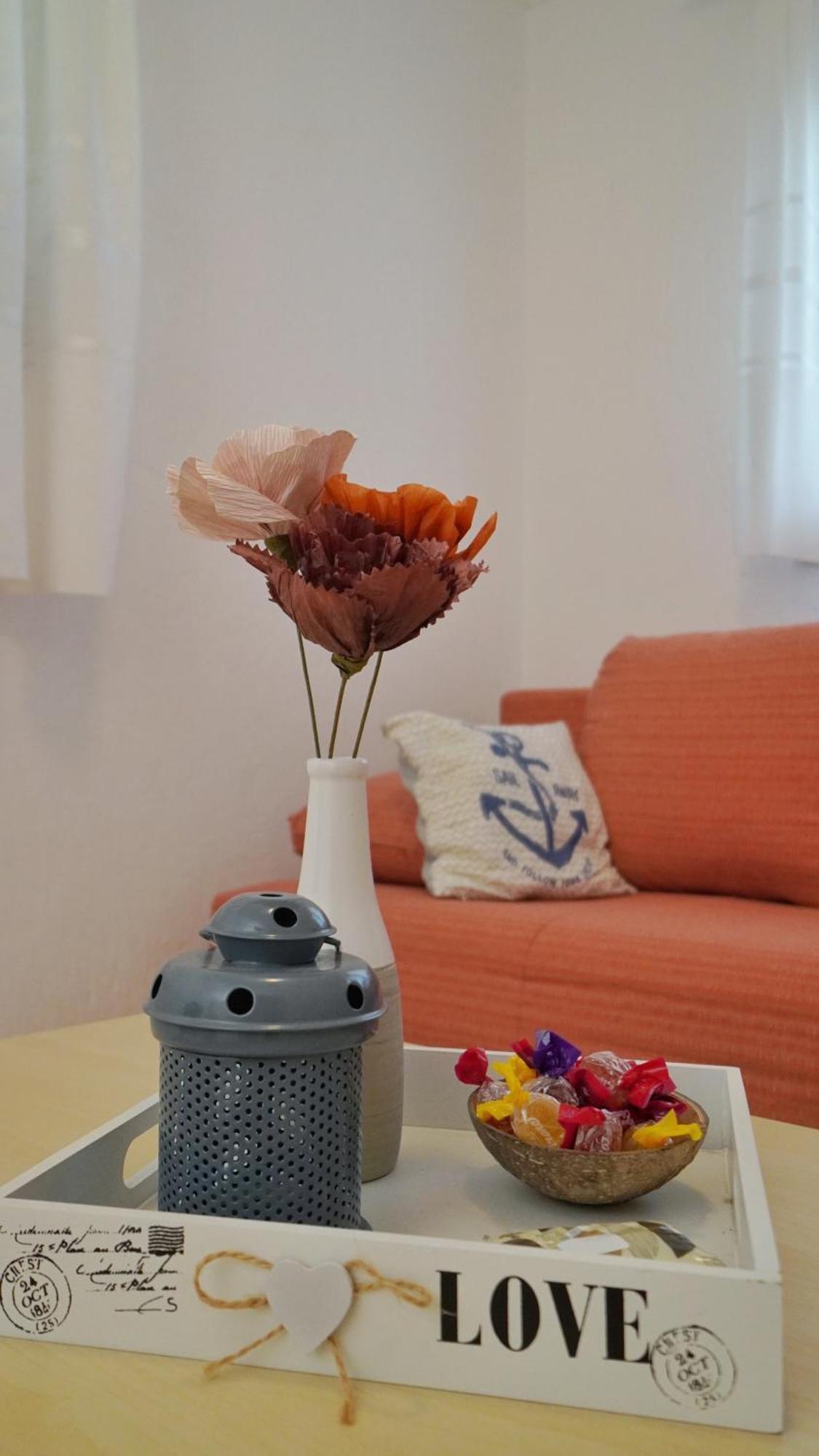 Apartment Samanta Novigrad  Zewnętrze zdjęcie