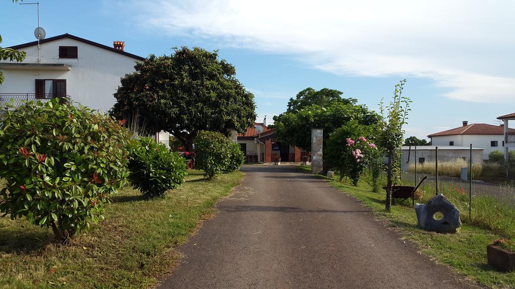 Apartment Samanta Novigrad  Zewnętrze zdjęcie