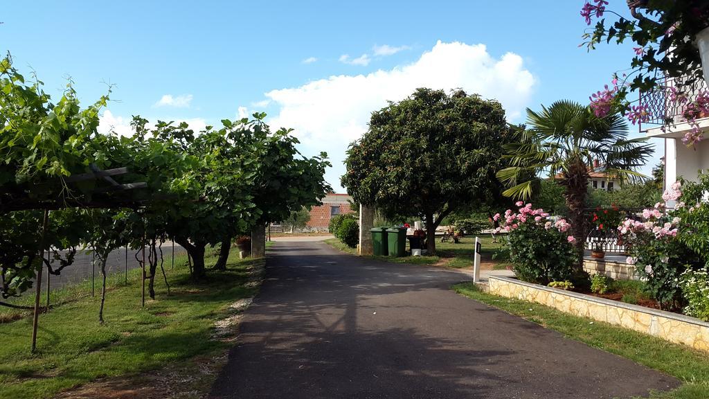 Apartment Samanta Novigrad  Zewnętrze zdjęcie