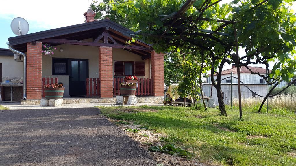 Apartment Samanta Novigrad  Zewnętrze zdjęcie