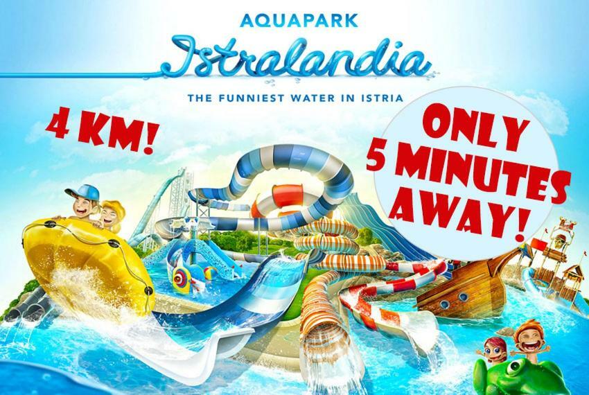 Apartment Samanta Novigrad  Zewnętrze zdjęcie